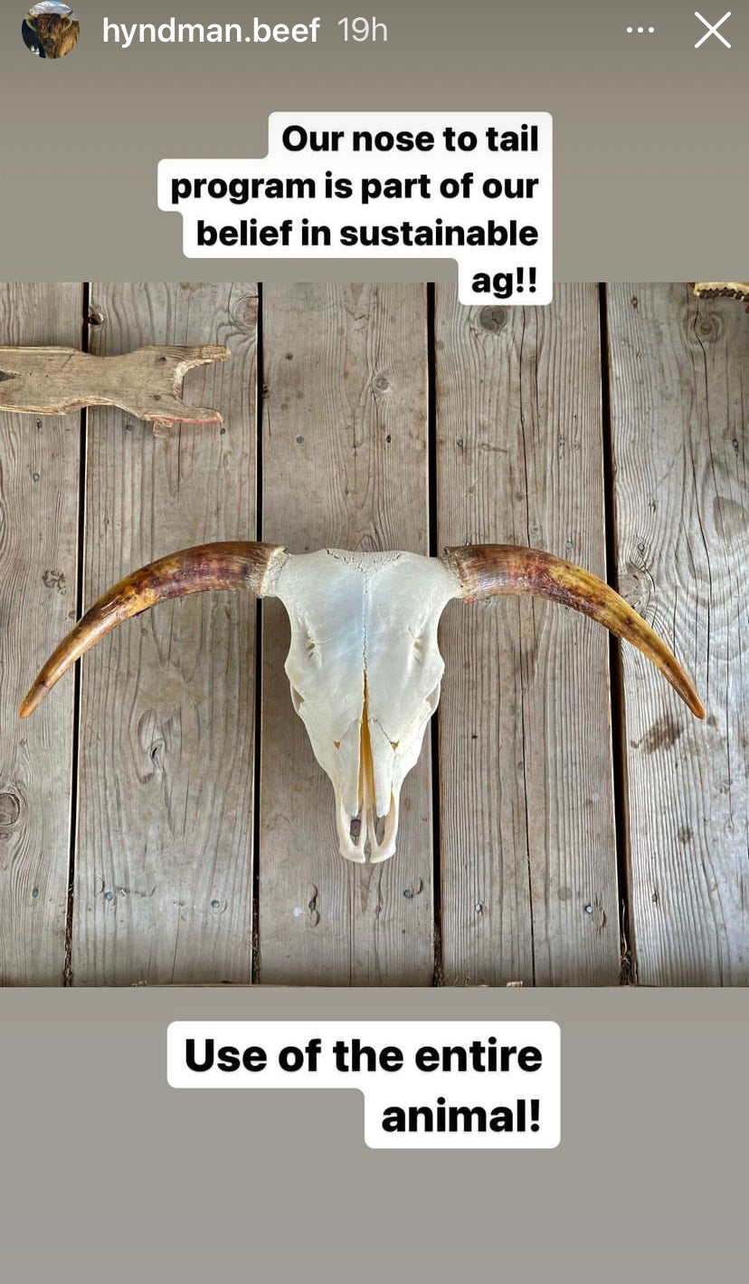 Highland Euro Mount