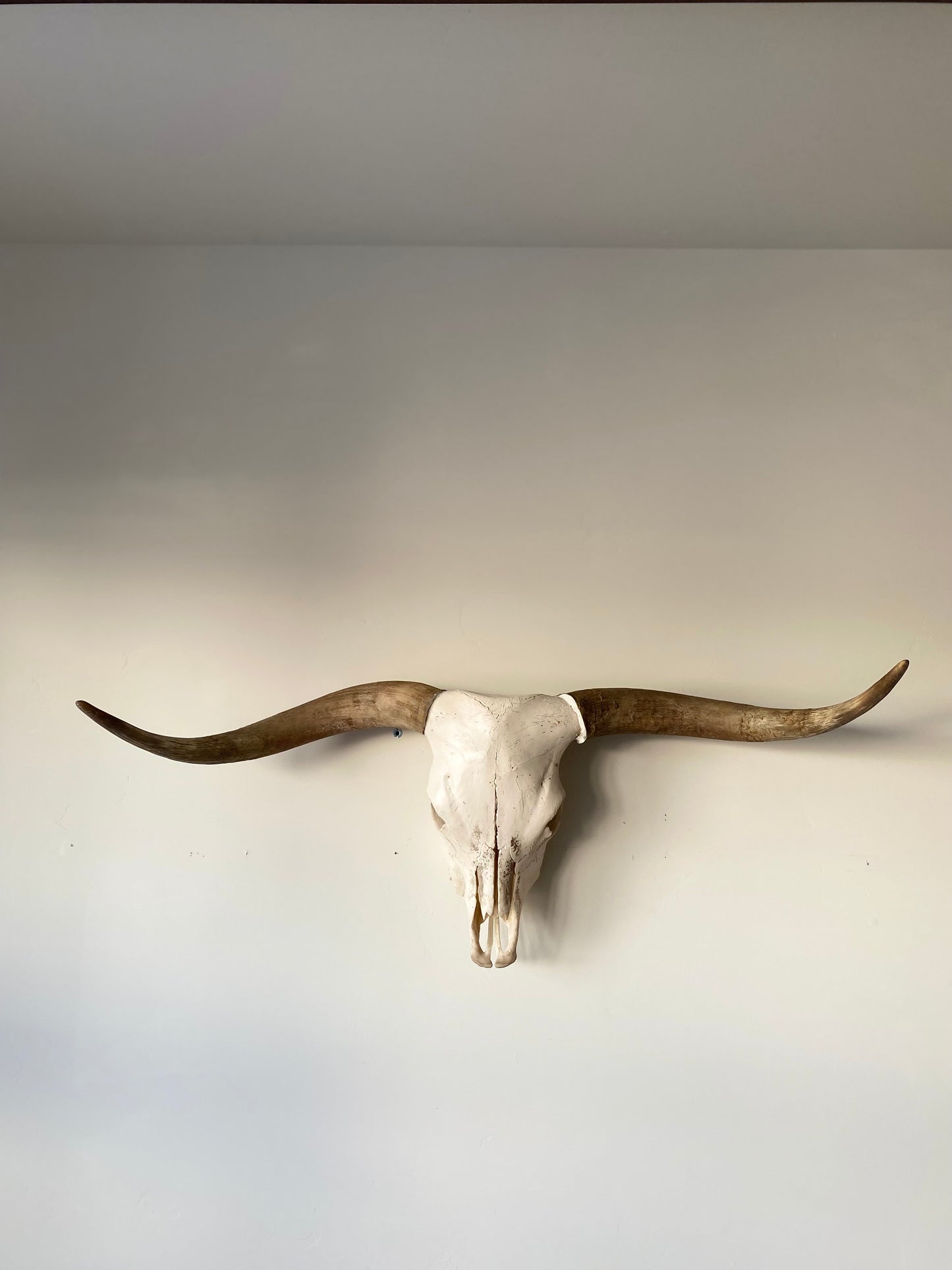 Highland Euro Mount