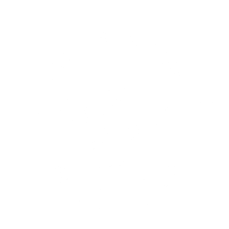 100% Grass-Fed & Finished Beef | Hyndman Peak Beef | Ketchum, ID